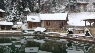 vlasic planina