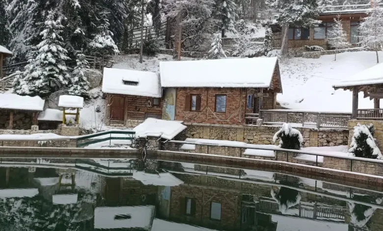 vlasic planina