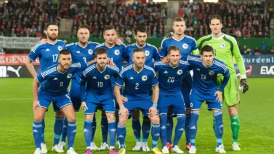 Nogometna reprezentacija Bosne i Hercegovina