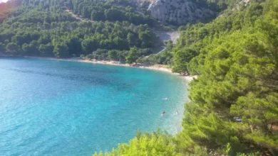 plaža velika duba