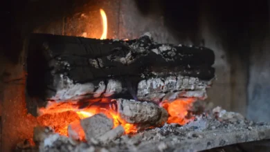 Užareno drvo koje gori u kaminu kao asocijacija na grijanje zimi